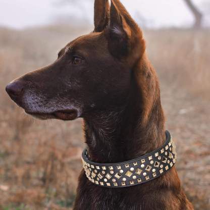 2 inch Wide Studded PU Leather Dog Collars for Medium Dogs, Unique Rivet Design Handmade Luxury Durable Dog Collar 