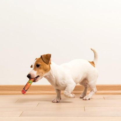 Funny Dog Toys - Plush Squeaky Toys for Medium, Small and Large - Cool Stuffed for Dog Birthday