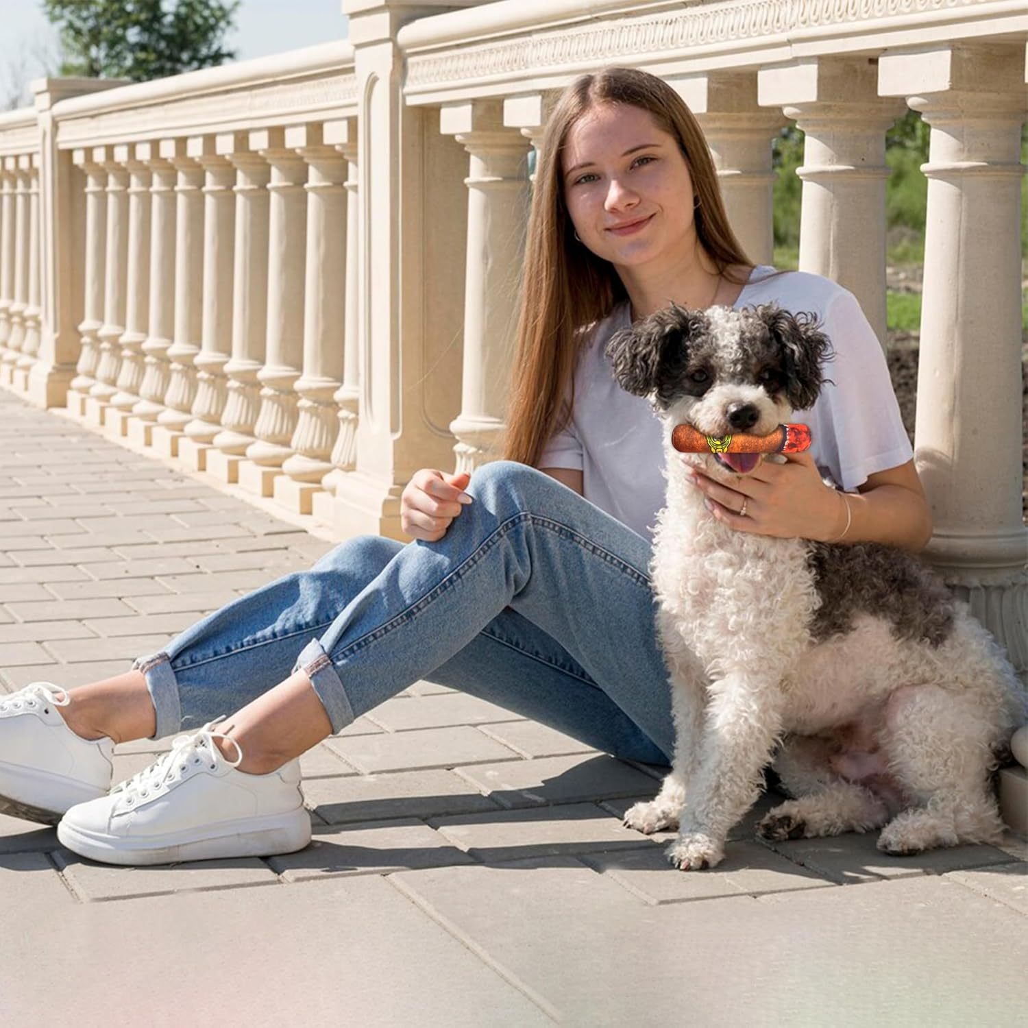 Funny Dog Toys - Plush Squeaky Toys for Medium, Small and Large - Cool Stuffed for Dog Birthday