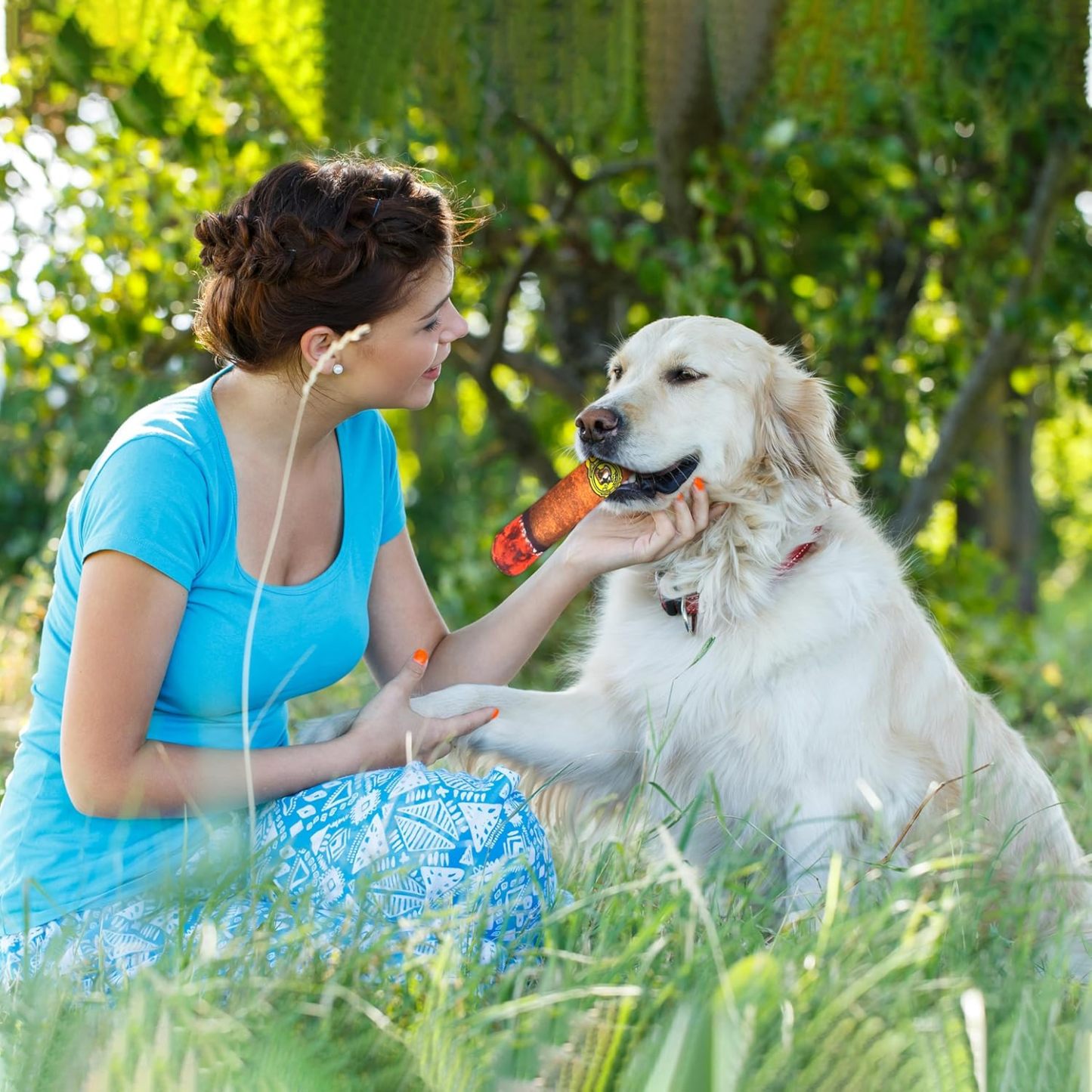 Funny Dog Toys - Plush Squeaky Toys for Medium, Small and Large - Cool Stuffed for Dog Birthday