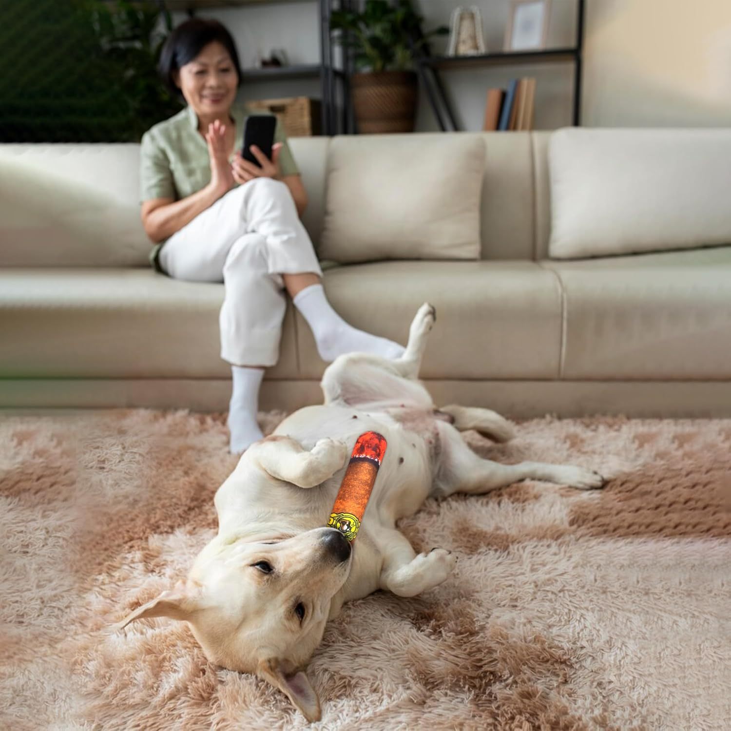 Funny Dog Toys - Plush Squeaky Toys for Medium, Small and Large - Cool Stuffed for Dog Birthday