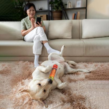 Funny Dog Toys - Plush Squeaky Toys for Medium, Small and Large - Cool Stuffed for Dog Birthday