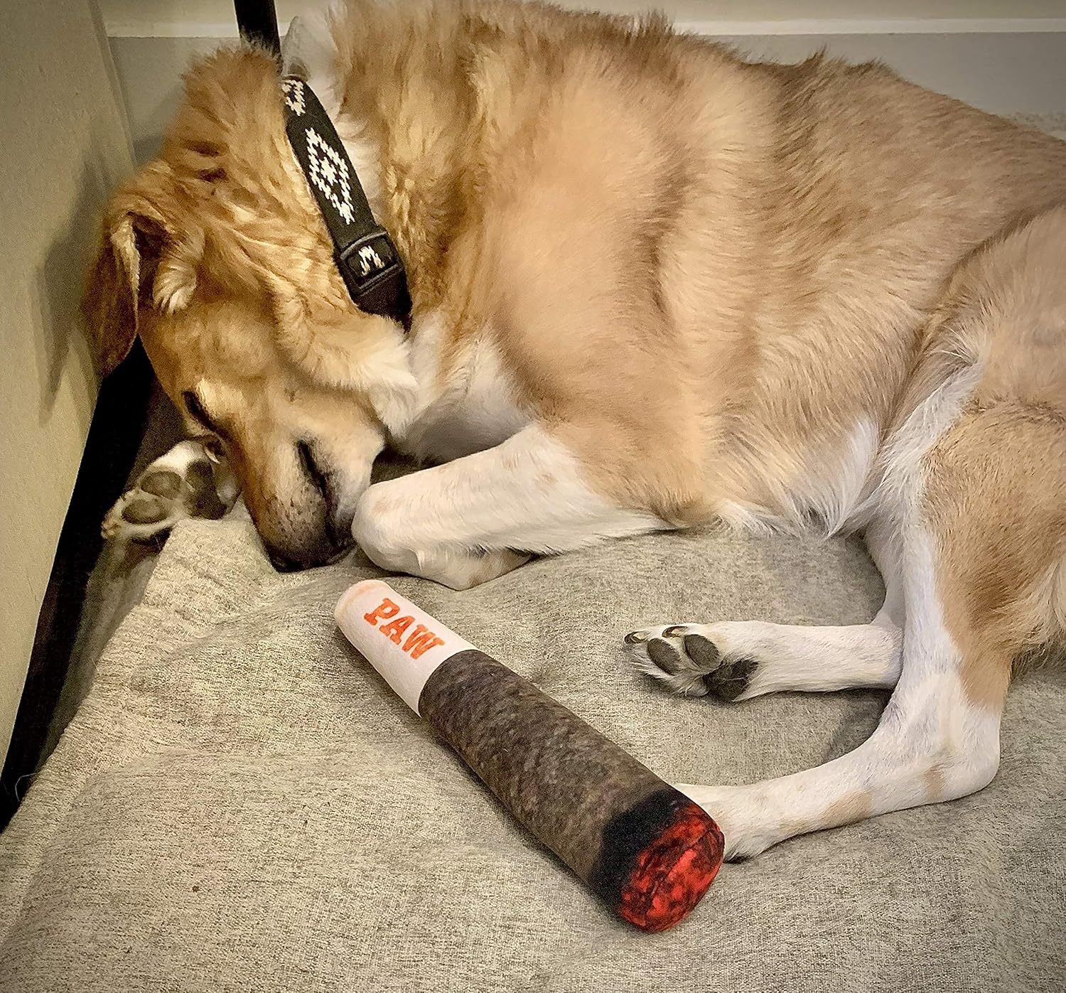 Funny Dog Toys - Plush Squeaky Toys for Medium, Small and Large - Cool Stuffed for Dog Birthday