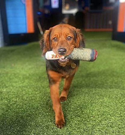 Funny Dog Toys - Plush Squeaky Toys for Medium, Small and Large - Cool Stuffed for Dog Birthday