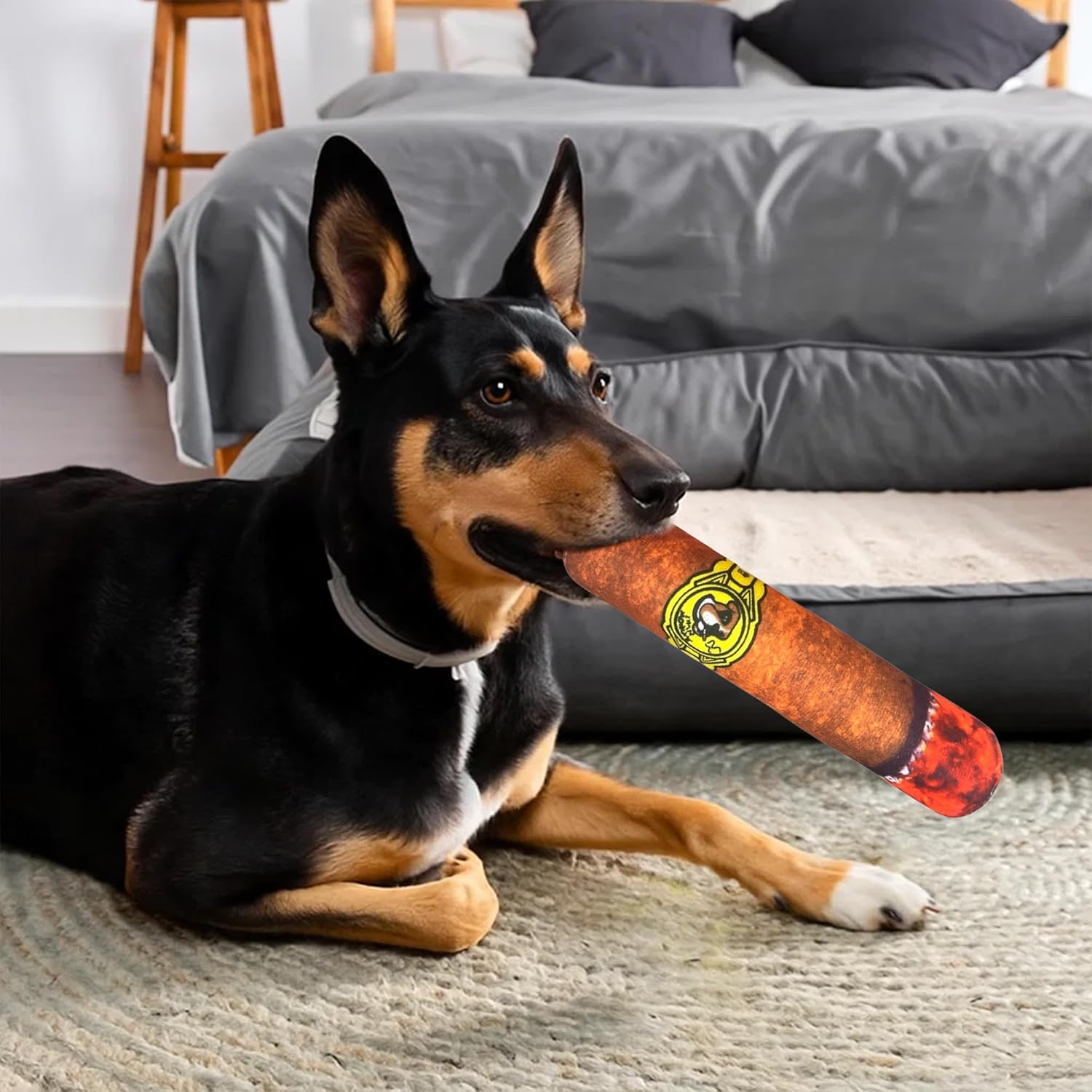 Funny Dog Toys - Plush Squeaky Toys for Medium, Small and Large - Cool Stuffed for Dog Birthday