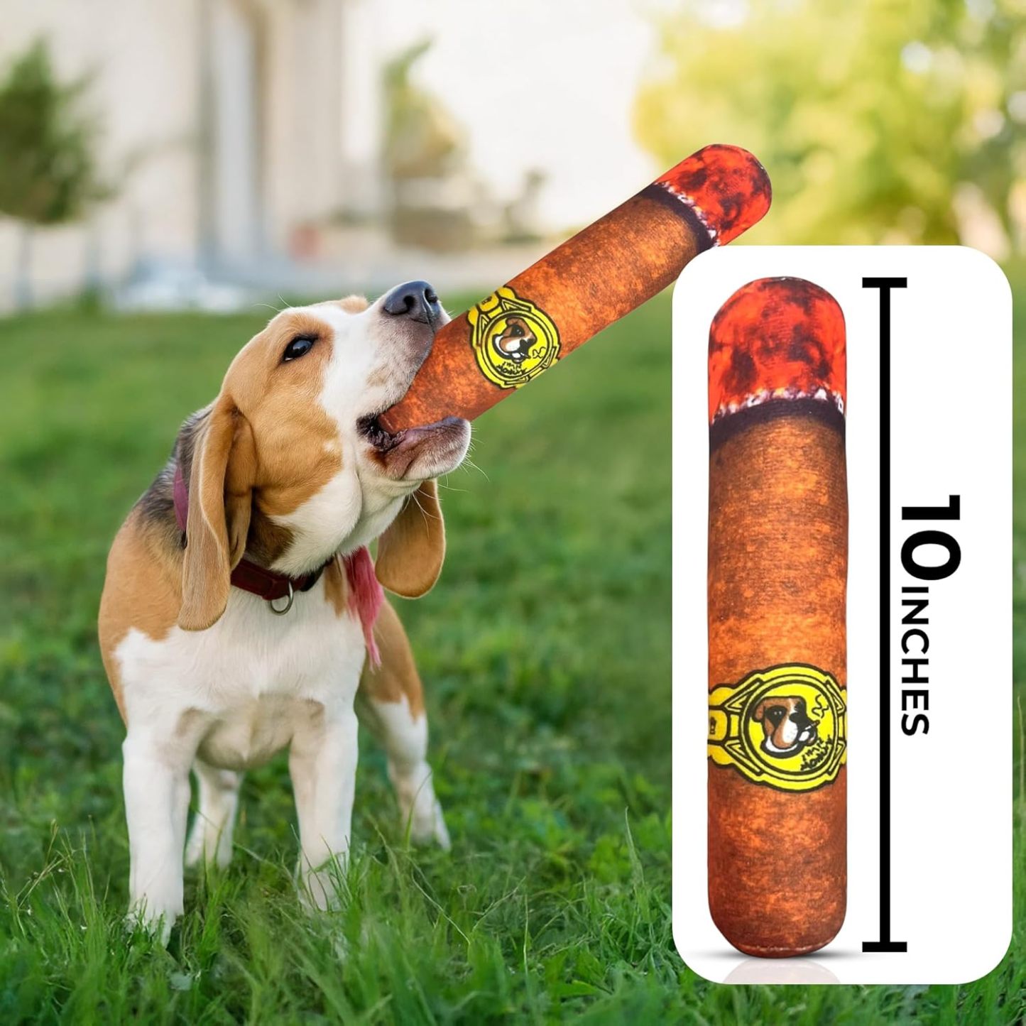 Funny Dog Toys - Plush Squeaky Toys for Medium, Small and Large - Cool Stuffed for Dog Birthday