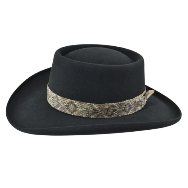 RONNIE VAN ZANT HAT