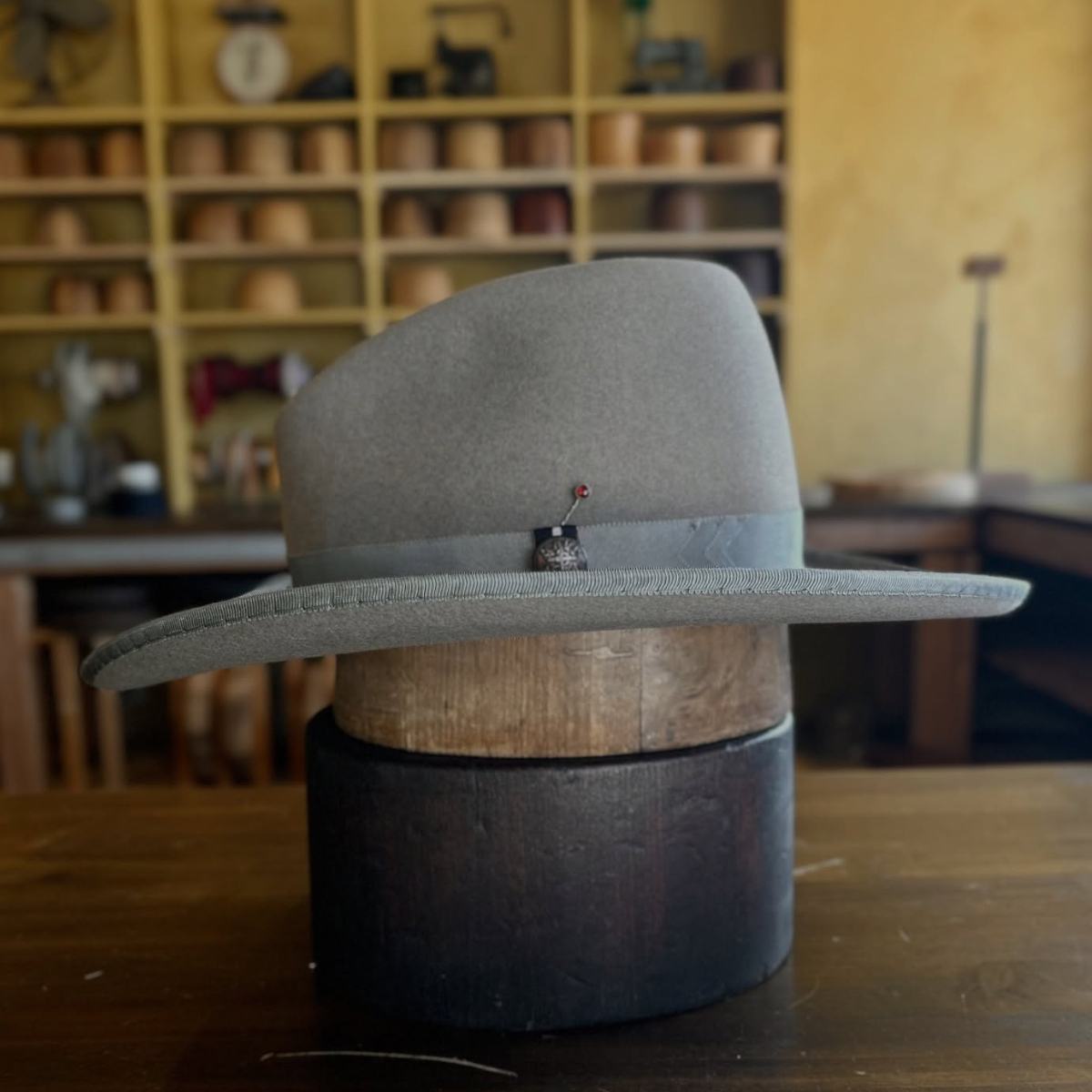 Gentleman of Grey Shadow