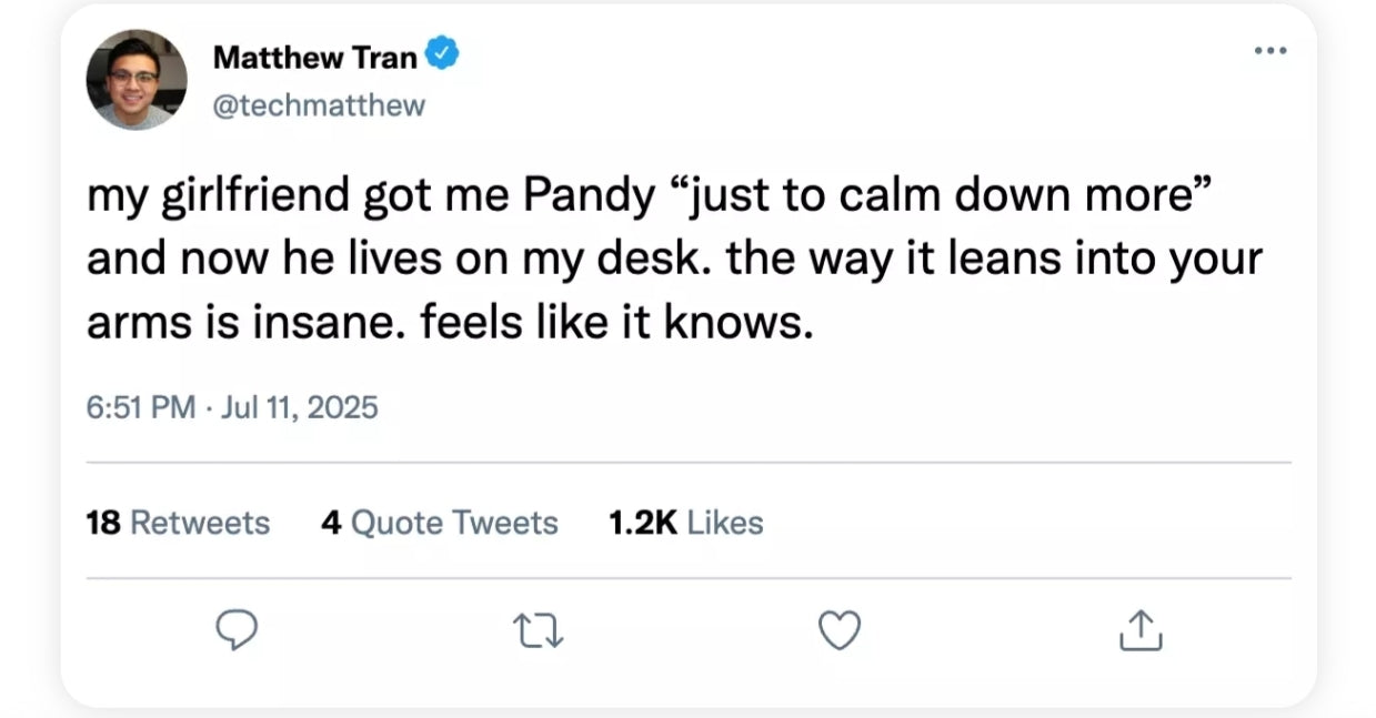 🎁Last Day Promotion 49% OFF - THE PANDY™- Emotional Healing on Demand