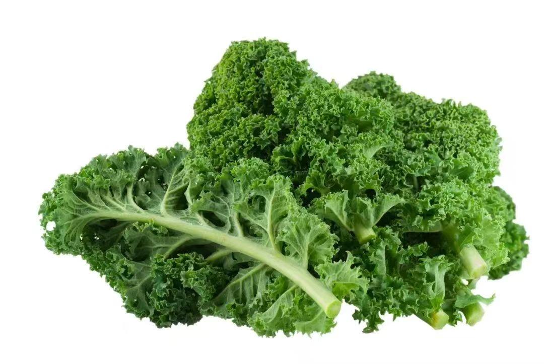 Big chicken leg kale Seeds