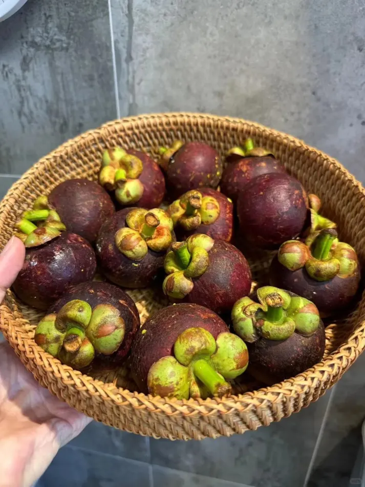 🌱Semená mangostanu – Pestujte „kráľovnú tropického ovocia💥