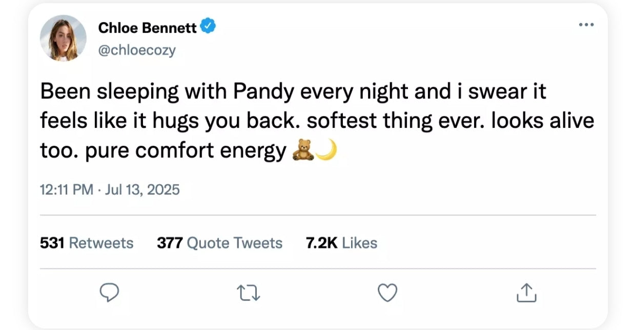 🎁Last Day Promotion 49% OFF - THE PANDY™- Emotional Healing on Demand