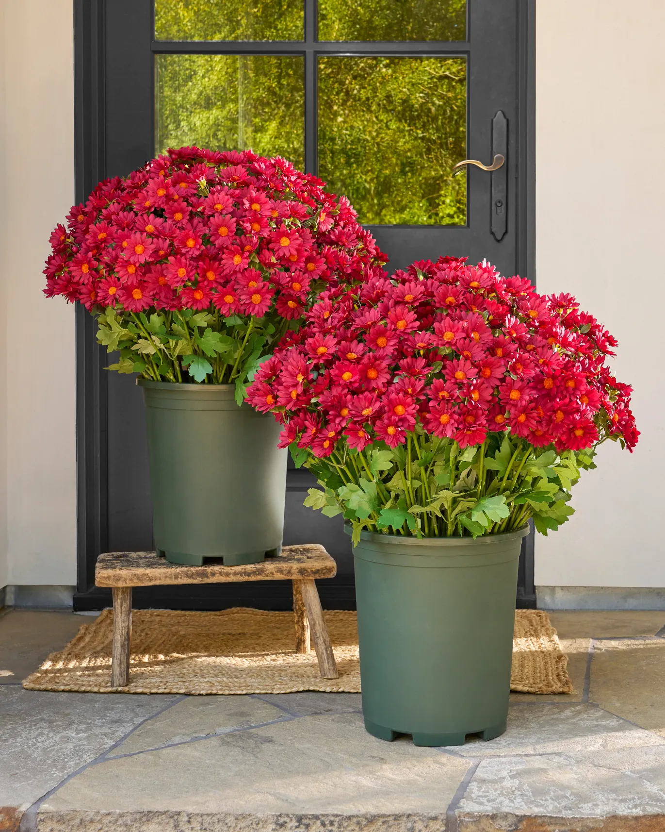 💥Last Day Each Only $2.59- Artificial Outdoor Sunset Mums Flowers - UV resistant, Waterproof, Windproof