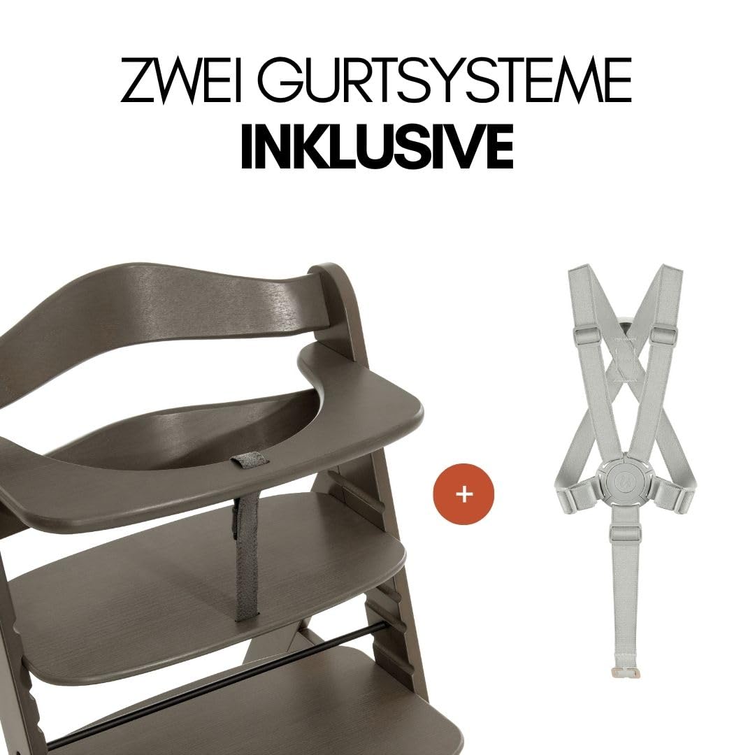 CLICKFUSION Hochstuhl Alpha Plus inkl. Sitzkissen und 2x Babyteller Silikon - Mitwachsender Babystuhl aus Holz, Kinderhochstuhl ab 6 Monate, verstellbar - Charcoal Nordic Grey