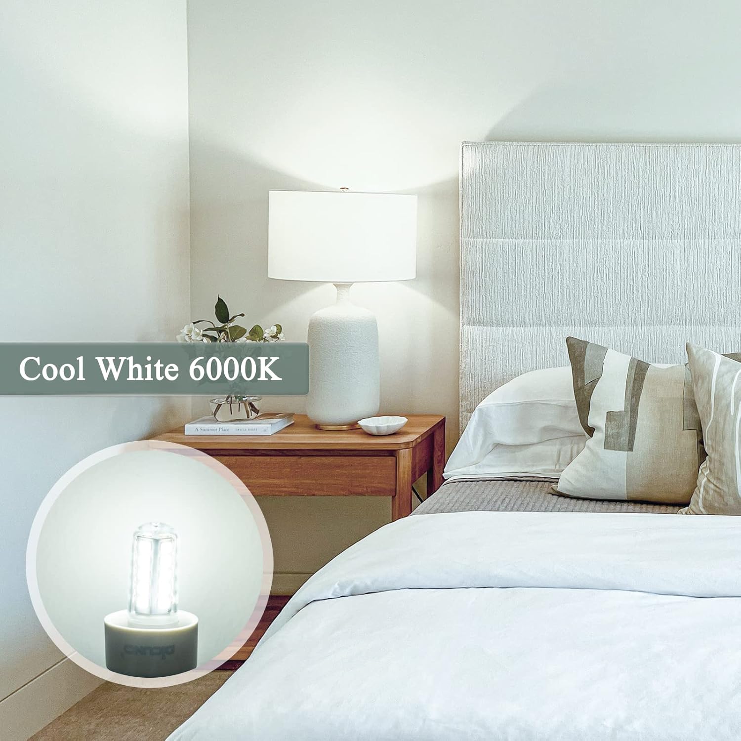 CLICKFUSION E14 Dimmbare LED Lampe, Kaltweiß 6000K, 2.5W Ersetzt 30W Halogen, LED Leuchtmittel 300lm, Flimmerfrei, 360°, Ideal für Kronleuchter, Tisch- und Stehlampen, 230V, 6er Pack