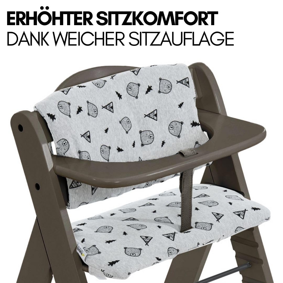 CLICKFUSION Hochstuhl Alpha Plus inkl. Sitzkissen und 2x Babyteller Silikon - Mitwachsender Babystuhl aus Holz, Kinderhochstuhl ab 6 Monate, verstellbar - Charcoal Nordic Grey