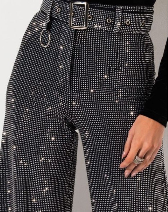 Sparkling Wide Leg Pants
