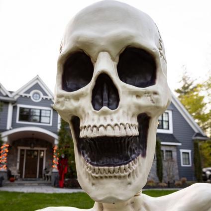 The Groundbreaking Skeleton Plastic Yard Decorating Kit, 5.3ft