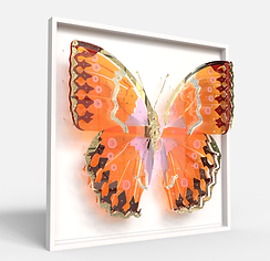 Plexiglass Wall Sculpture
