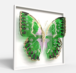Plexiglass Wall Sculpture
