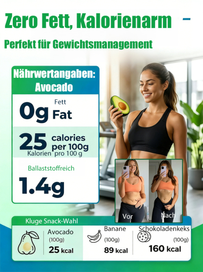 Avocadosetzling-Im selben Jahr gepflanzt, im selben Jahr geerntet – auch für Anfänger ganz einfach