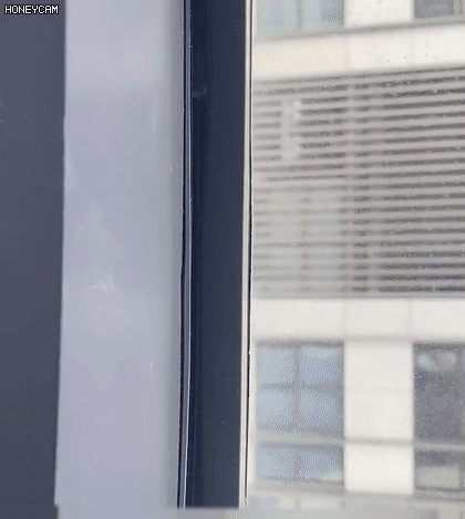 Honeycam 2025-07-30 09-40-13.gif