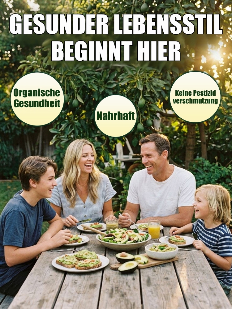 Avocadosetzling-Im selben Jahr gepflanzt, im selben Jahr geerntet – auch für Anfänger ganz einfach