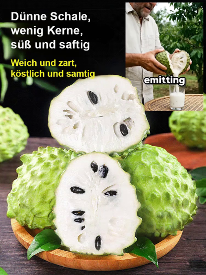 【Ergebnis des Jahres】Setzling des Atemoya-Baums mit gemischtem Geschmack