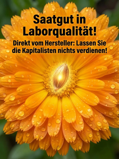 【100 Tage Blüte】Einfach zu züchtende, bunte Ringelblumensamen