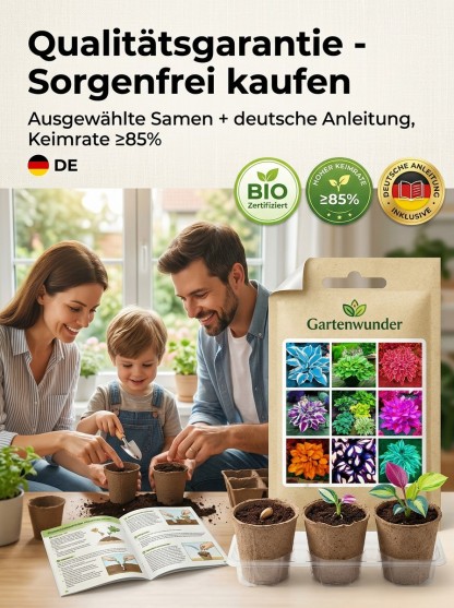 Seltene Samen der buntblättrigen Funkie.
