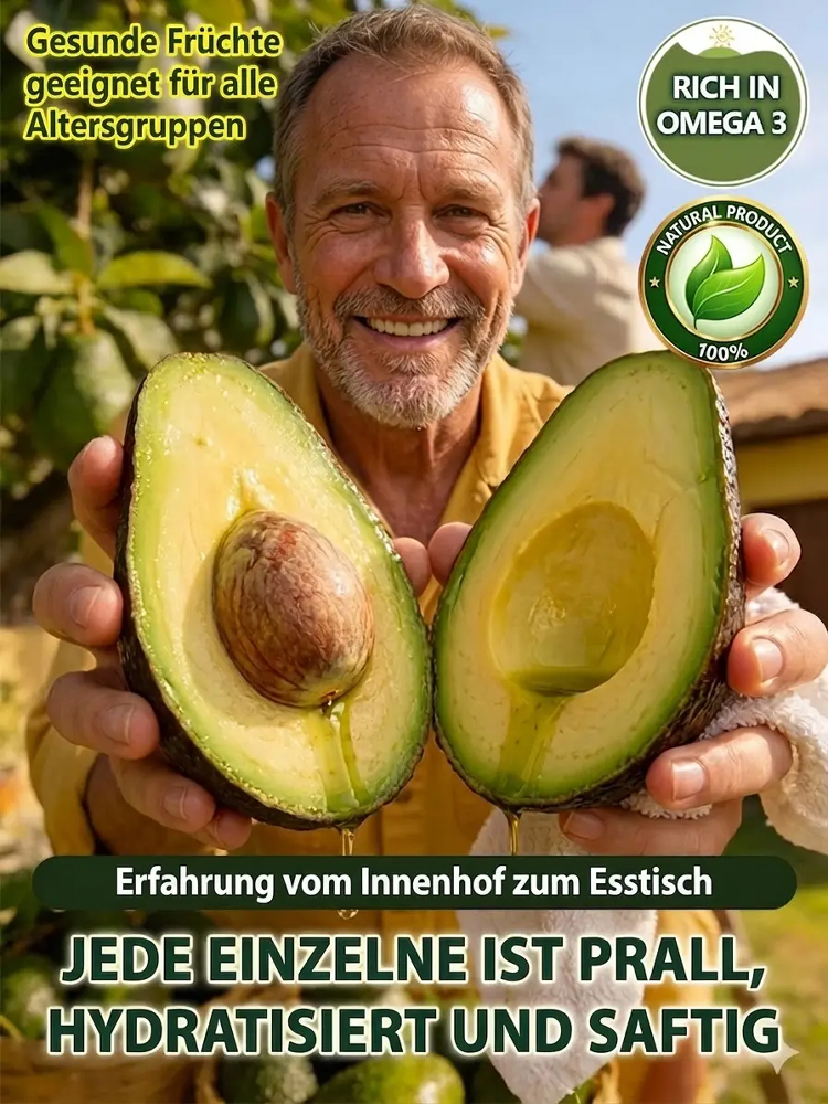 Avocadosetzling-Im selben Jahr gepflanzt, im selben Jahr geerntet – auch für Anfänger ganz einfach