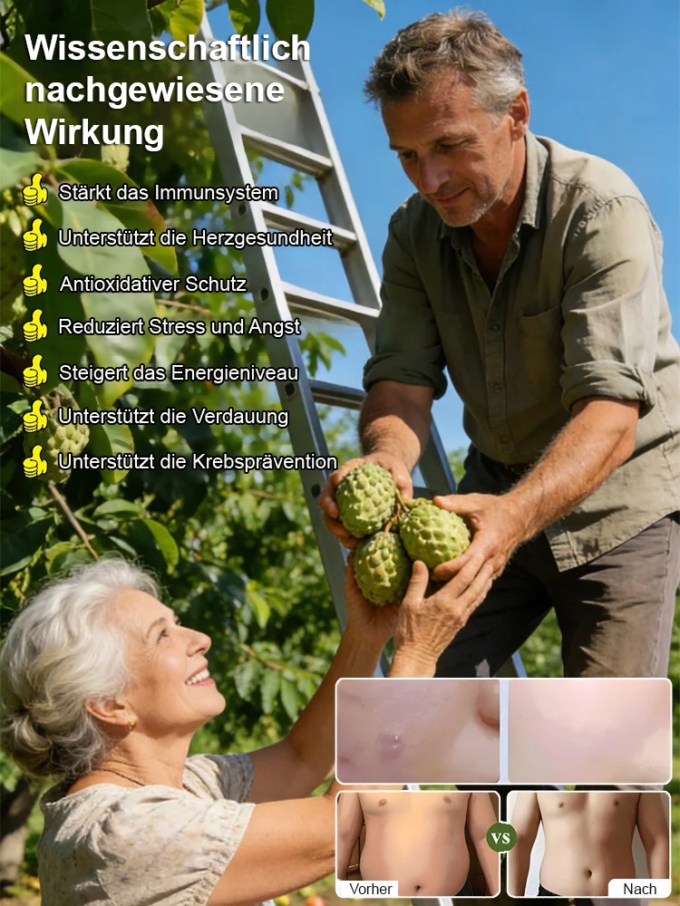 【Ergebnis des Jahres】Setzling des Atemoya-Baums mit gemischtem Geschmack