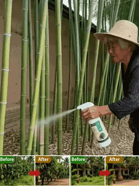 Hartnäckiges Unkraut und Bambus werden mit einem Sprühstoß beseitigt
