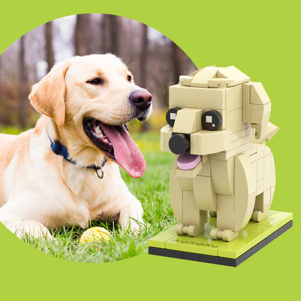 Fully Body Customizable Labrador 1 Dog Photo Custom Brick Figures Small Particle Block Brick Me Figures Customized Labrador Only