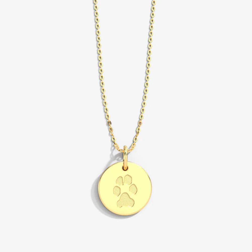 Cherish Your Pet with a 14k Gold Paw Print Necklace - A Heartfelt Gift for Animal Lovers. #14kGoldPendant #PawPrintNecklace #PetLoversGift
