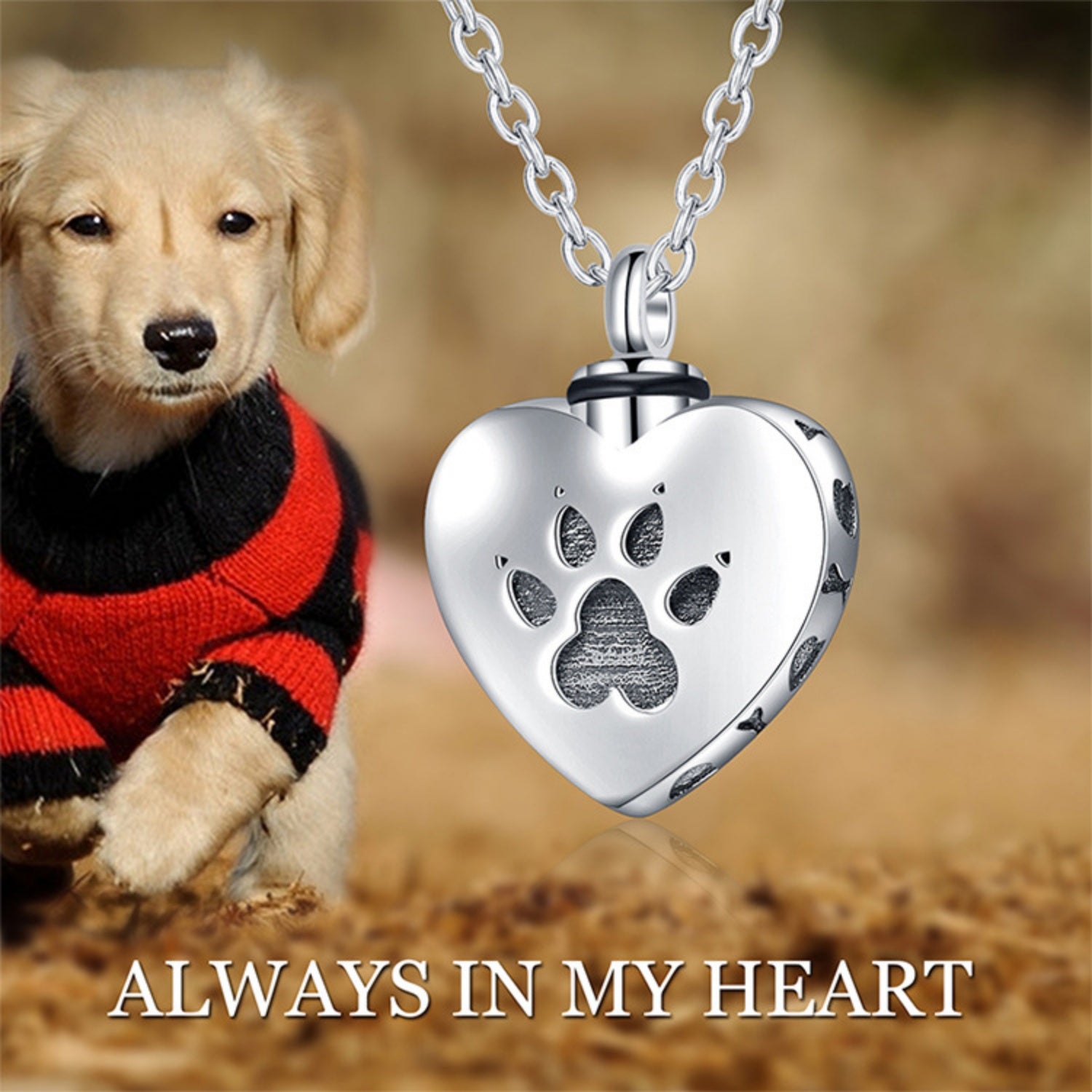 925 Sterling Silver Necklace Pet Paw Print Urn Necklace
