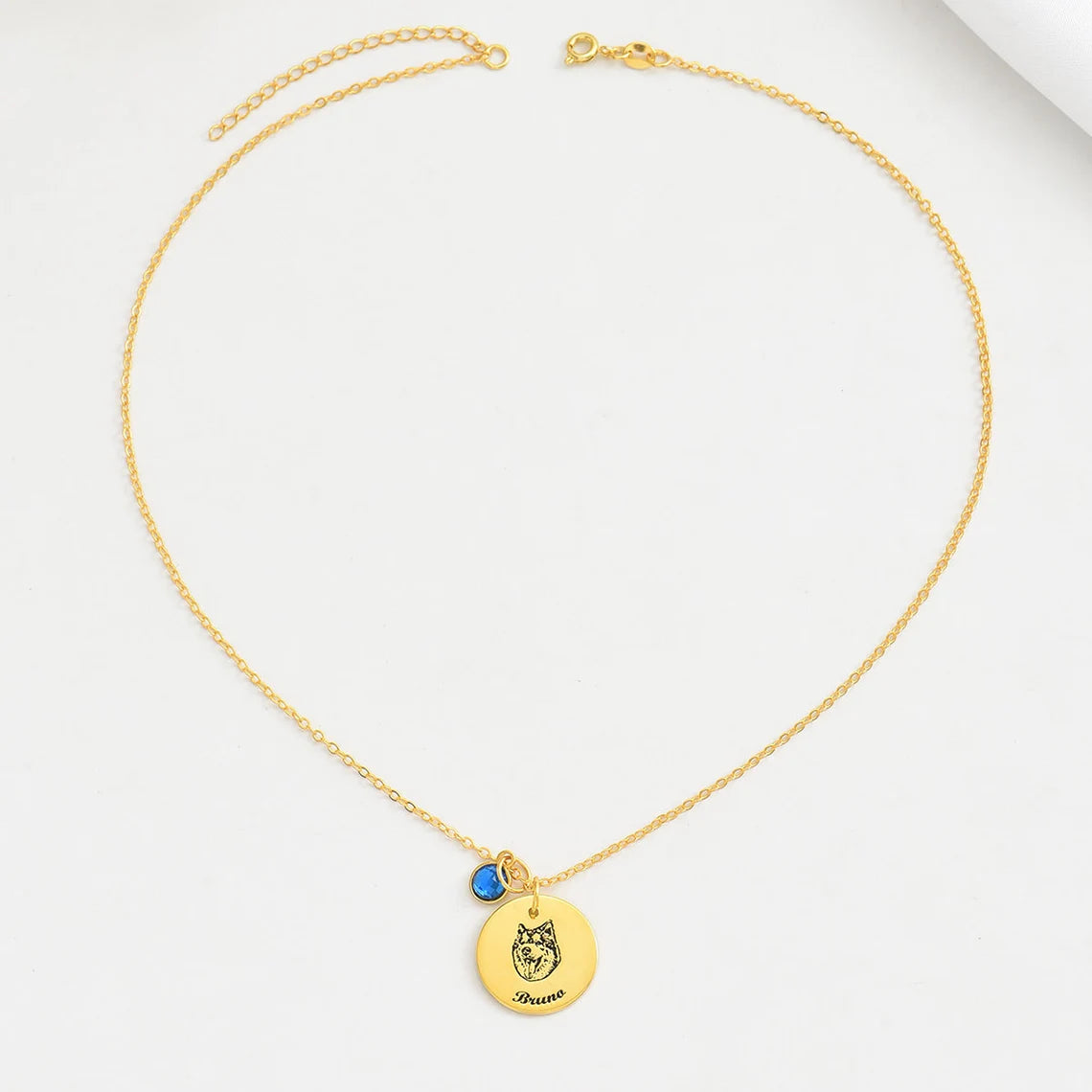 Personalized 14K Gold Pet Memorial Necklace - Engrave Your Pet's Name, Choose Birthstone, Available in 925 Silver, 14K Yellow, Rose, White Gold