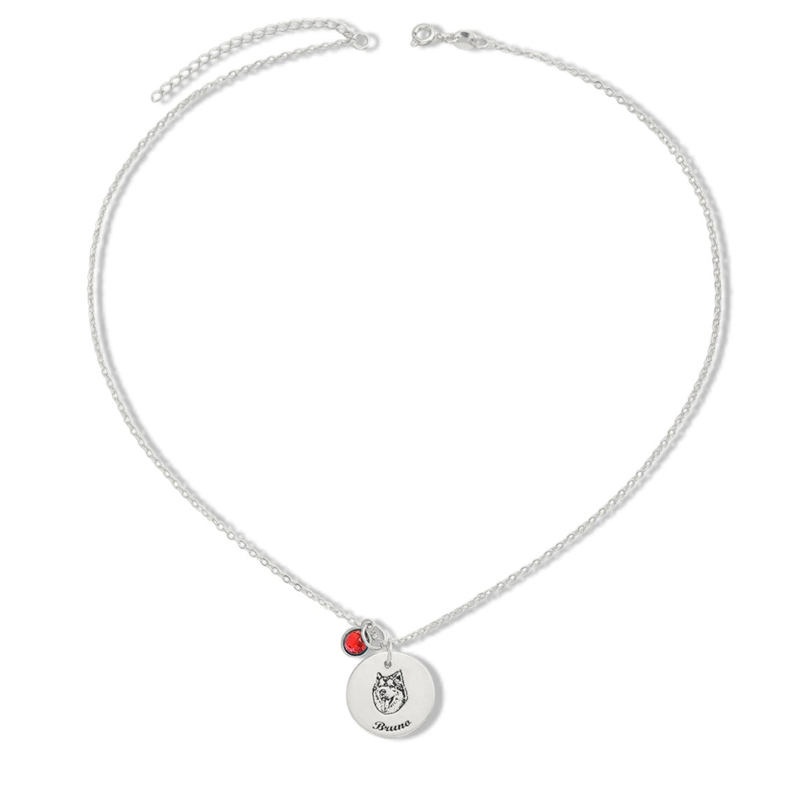 Personalized 14K Gold Pet Memorial Necklace - Engrave Your Pet's Name, Choose Birthstone, Available in 925 Silver, 14K Yellow, Rose, White Gold