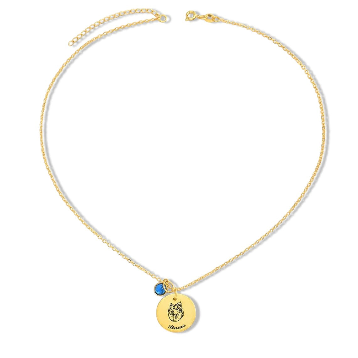 Personalized 14K Gold Pet Memorial Necklace - Engrave Your Pet's Name, Choose Birthstone, Available in 925 Silver, 14K Yellow, Rose, White Gold