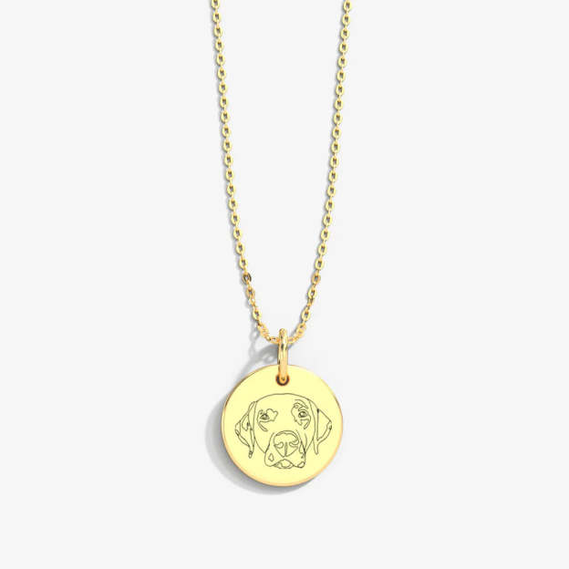 Custom Pet Portrait & Name Art Necklace in 14K Gold & 925 Silver