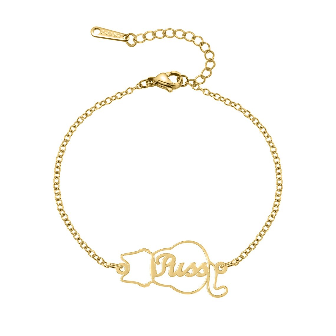 Gold Plated Pet-Wrapped Name Bracelet - Personalized Engraved Jewelry Gift