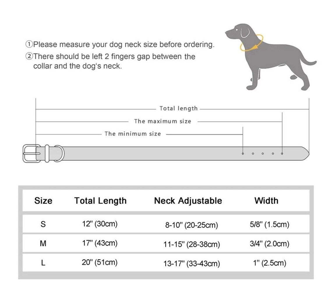 "Your Pet's Name in Style - Personalized Dog Collar with Bone and Rhinestone Accents. #PersonalizedDogCollar #PetNameCollar #DogFashion