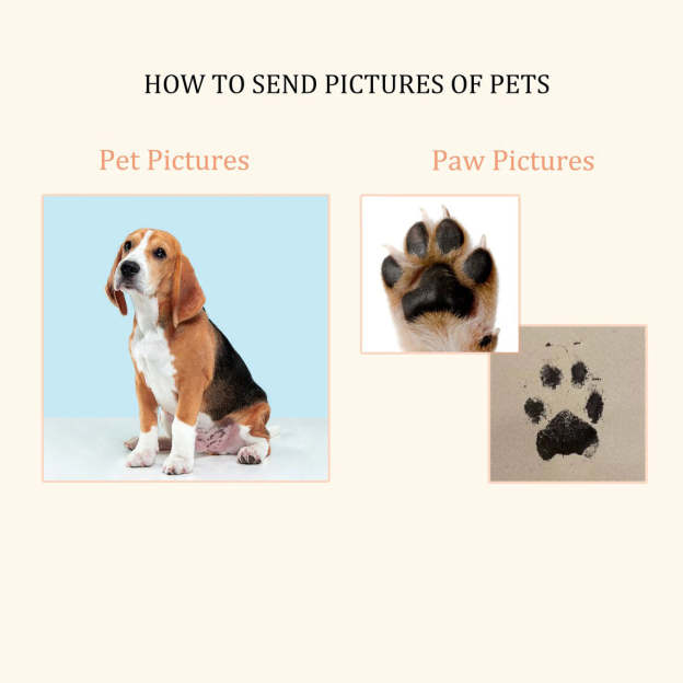 Teardrop Pet Urn Necklace