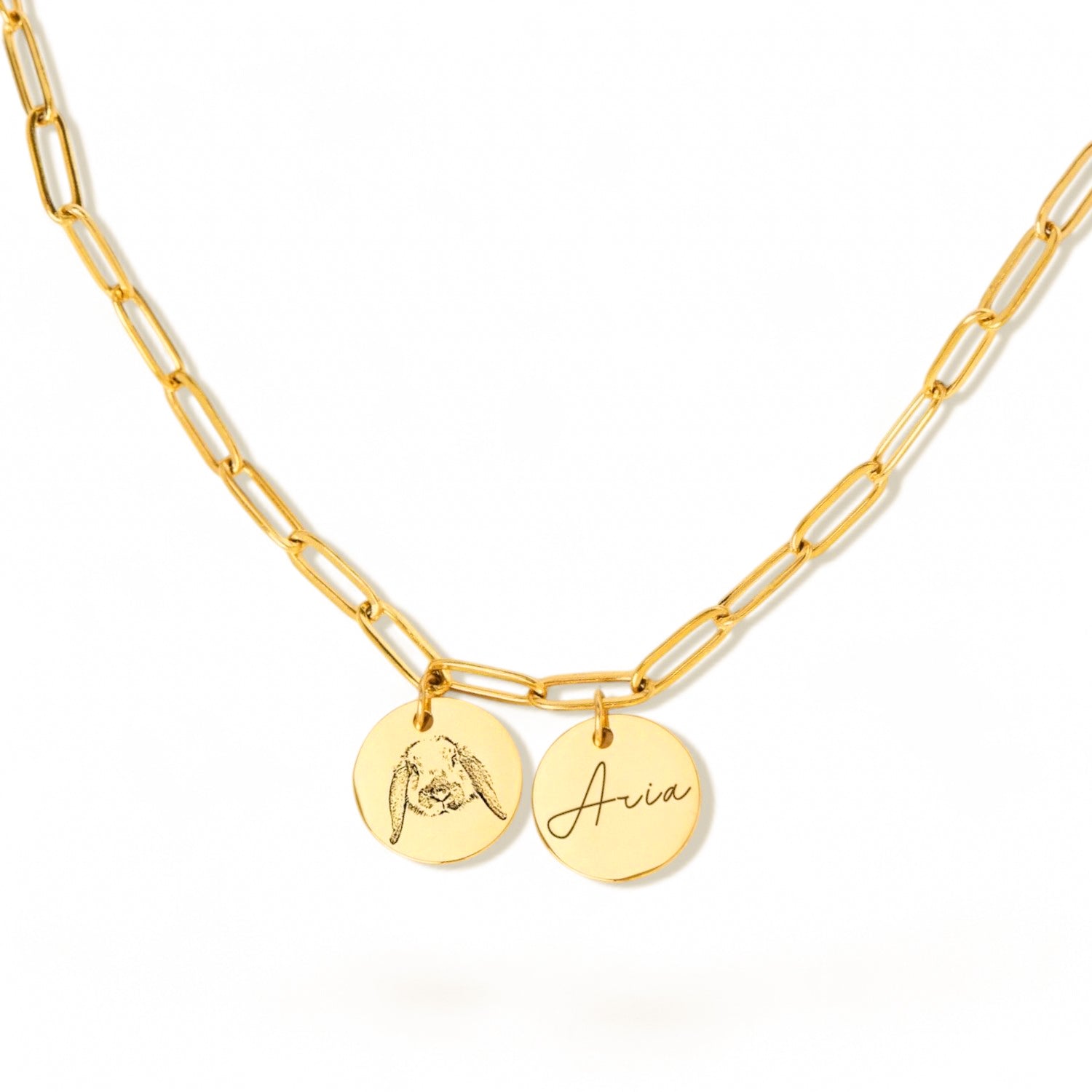 Custom Engraved Gold Charm Necklace – Personalized with Name and Pet Portrait – Unique Gift for Her