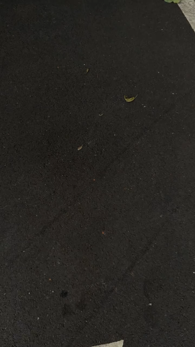 JungleCamo IMD Dual-Layer Matte Phone Case