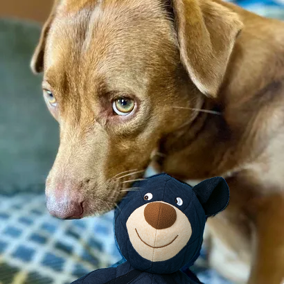 2025 New Unbreak-Bear For Heavy Chewers