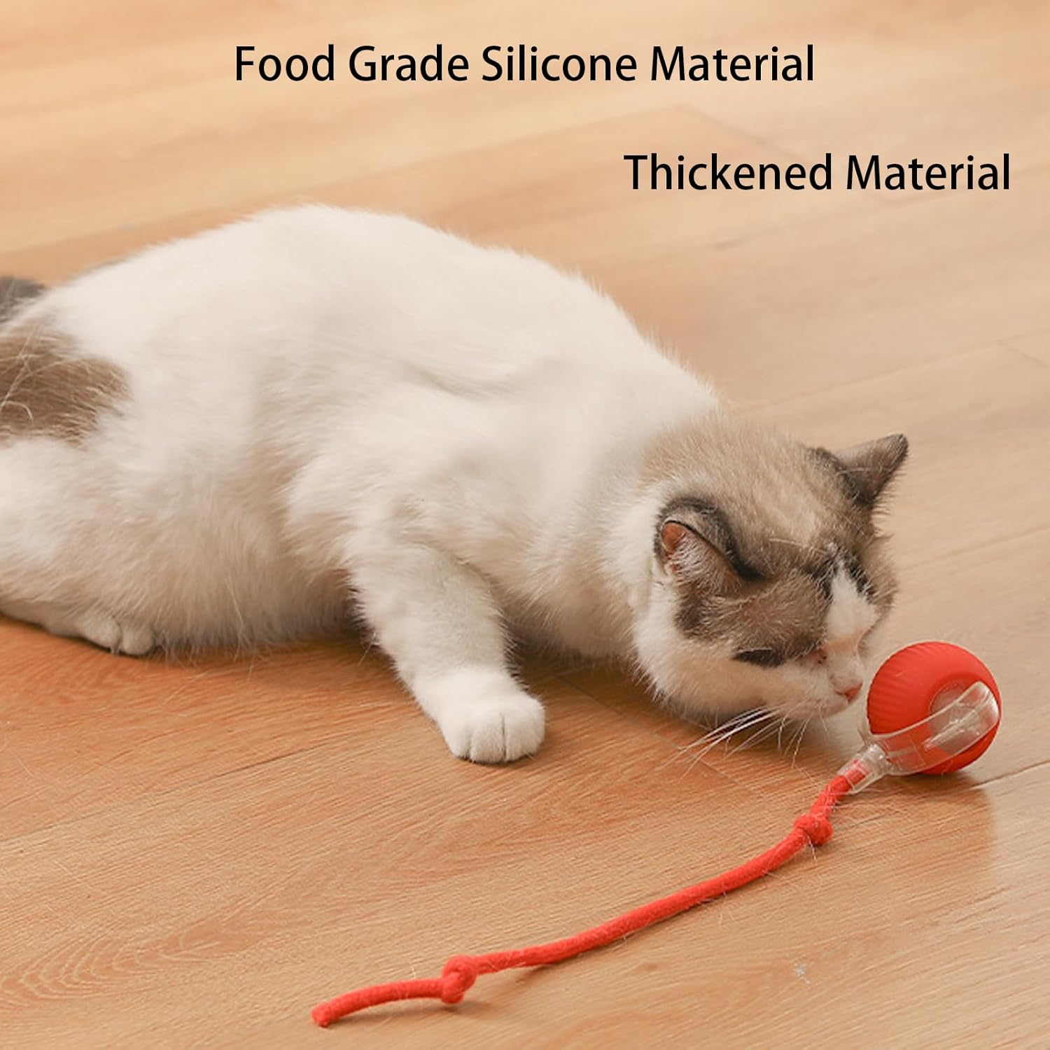 Smart chase pet toy ball