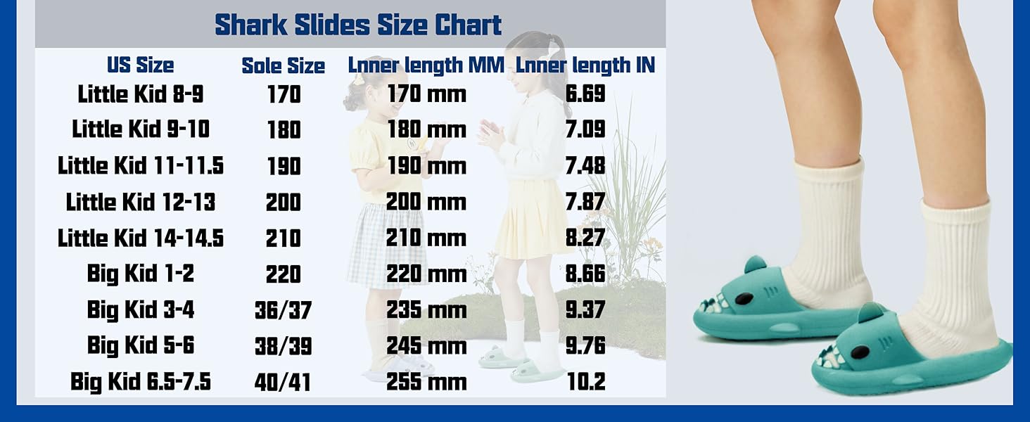 shark  slides