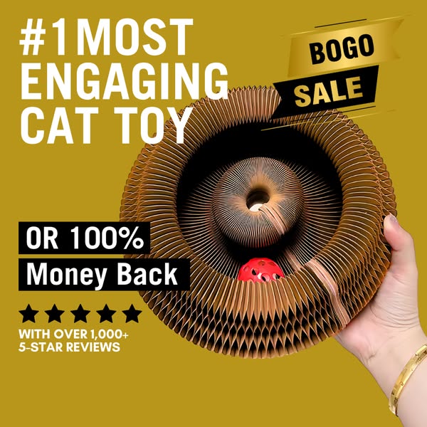 Kitty Kurlz Cat Toy, Magic Organ Cat Scratch Board, Foldable Cat Accordion Toy, Interactive Scratch Pad with Toy Bell Ball, Magic Organ Scratching Board