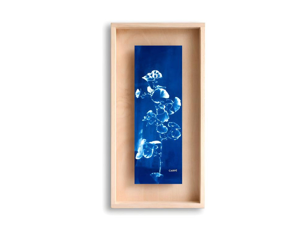 marco cianotipia gingko 40x20cm Domiona-domiona